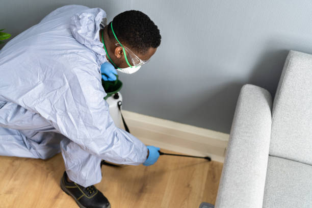 Best Pest Exclusion Services  in Cinco Ranch, TX